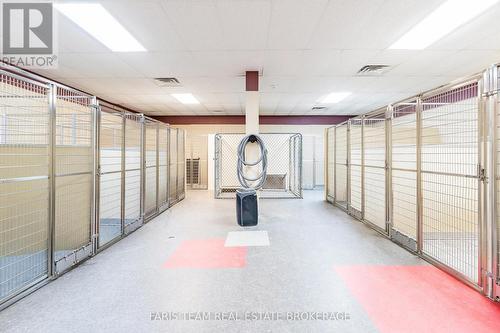 301 Concession 4 Road E, Tiny, ON 