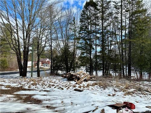 39 Diamond Dr, Minto, NB 