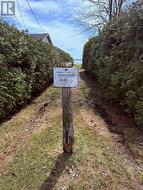 Community swimming area (down the street) - 