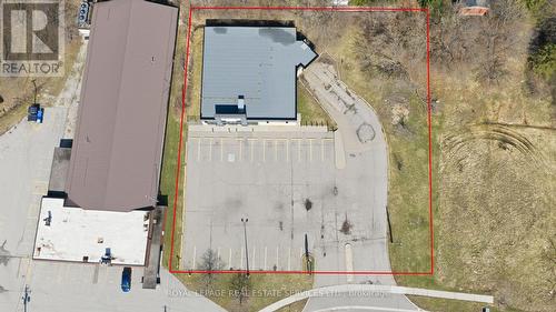 51 Millside Drive, Milton, ON 