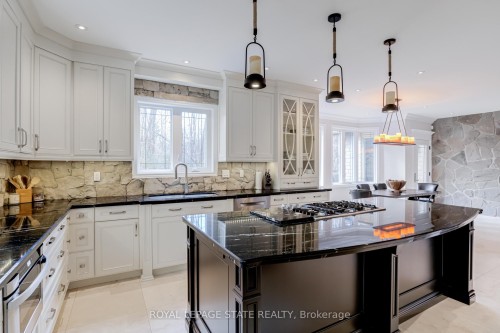 18 Elder Crescent, Hamilton, ON - Indoor Photo Showing Kitchen With Upgraded Kitchen