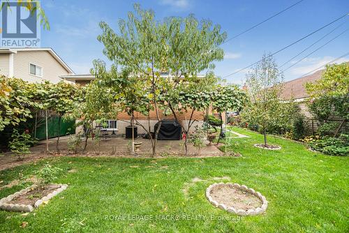 31 Adair Avenue N, Hamilton, ON - Outdoor