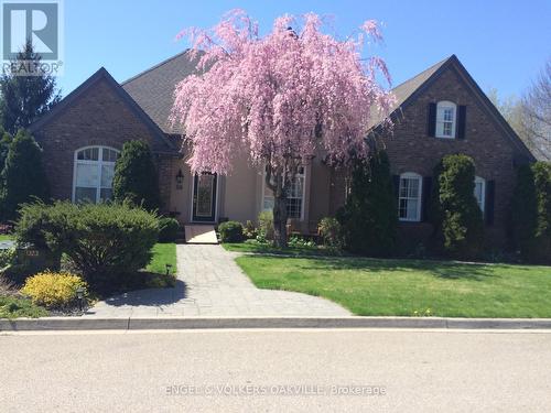 50 James Street - Photo 3