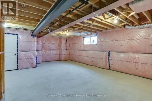 114 Beech Boulevard, Tillsonburg, ON - Indoor Photo Showing Basement