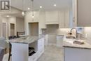 114 Beech Boulevard, Tillsonburg, ON  - Indoor Photo Showing Kitchen With Double Sink With Upgraded Kitchen 