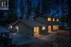 Staged AI picture of the back at night - 