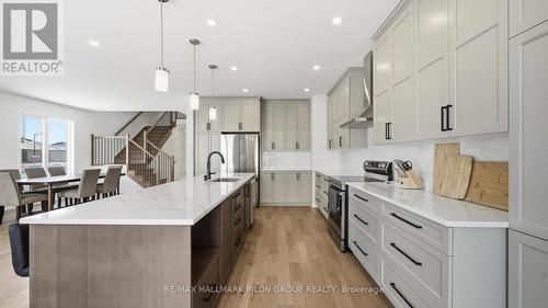 272 Cornice Street, Ottawa, ON - Indoor Photo Showing Kitchen With Upgraded Kitchen