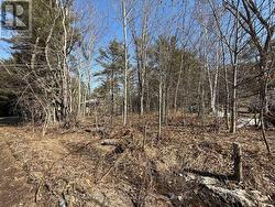 VACANT LOT PINEDALE ROAD  Gravenhurst (Muskoka (S)), ON P1P 1L5