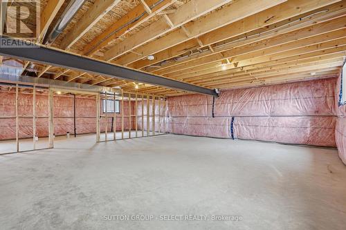 45 Hardy Drive, Strathroy-Caradoc (Se), ON - Indoor Photo Showing Basement