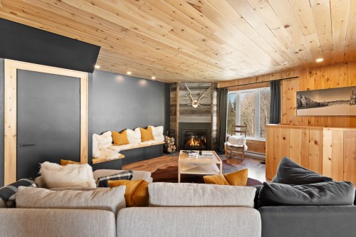 Salon - 168  - 170 Ch. Demers, Sutton, QC - Indoor Photo Showing Living Room With Fireplace