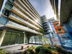 204-650 King Street W Toronto, ON M5V 0H6