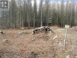 00 DORNIE ROAD N  North Glengarry, ON K0C 1A0