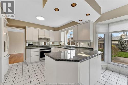 3748 Ouellette Avenue, Windsor, ON - Indoor Photo Showing Kitchen