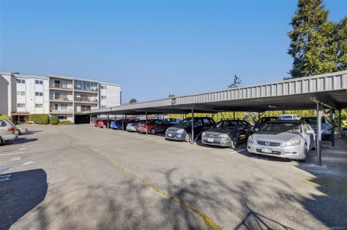 323-3225 Eldon Pl, Saanich, BC - Outdoor