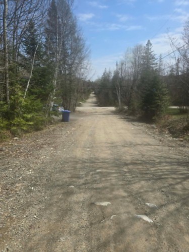 Terre/Terrain - Rue Des Cèdres, Chertsey, QC 