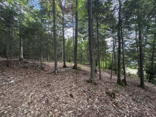 Boisé - Rue Des Cèdres, Chertsey, QC 