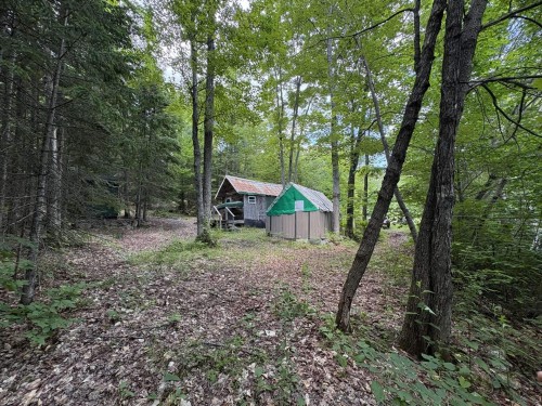 Terre/Terrain - Rue Des Cèdres, Chertsey, QC 