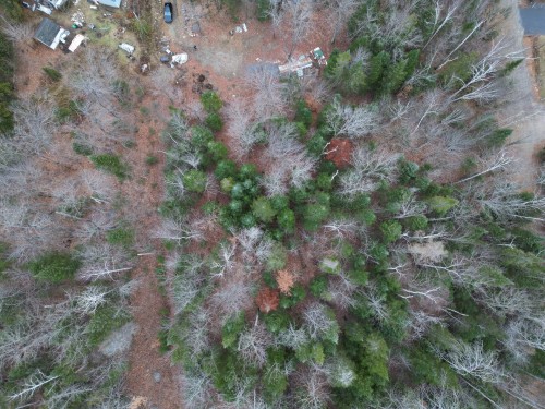 Vue d'ensemble - Rue Des Cèdres, Chertsey, QC 