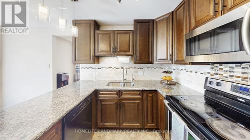 330 Guelph Avenue, Cambridge, ON - Indoor Photo Showing Kitchen With Upgraded Kitchen