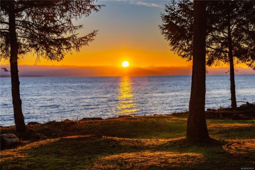 4115 Twigg Rd, Campbell River, BC 