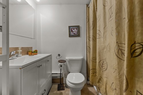 Bathroom - 2365  - 2369 Rue Hufford, Montréal (Saint-Laurent), QC - Indoor Photo Showing Bathroom