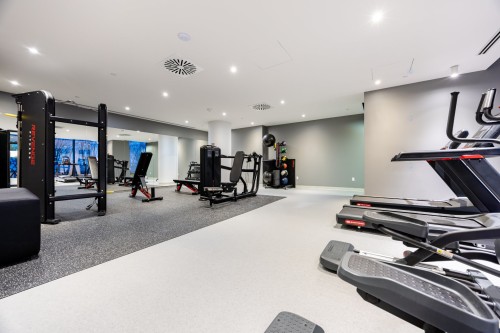 Exercise Room - 1006-1000 Rue André-Prévost, Montréal (Verdun/Île-Des-Soeurs), QC - Indoor Photo Showing Gym Room