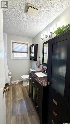 102 Government Road, Davidson, SK - Indoor Photo Showing Bathroom