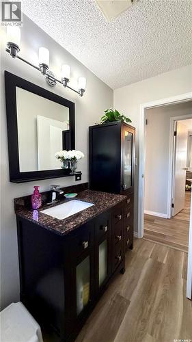 102 Government Road, Davidson, SK - Indoor Photo Showing Bathroom