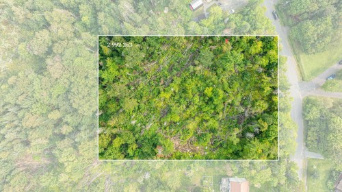 Terre/Terrain - Rue Ovide, Val-David, QC 