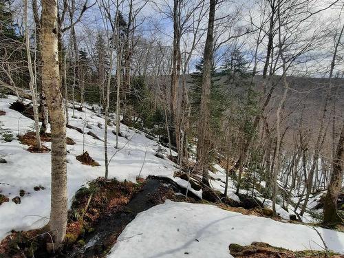 594 Whycocomagh Mountain Rd, Whycocomagh, NS 