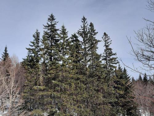 594 Whycocomagh Mountain Rd, Whycocomagh, NS 