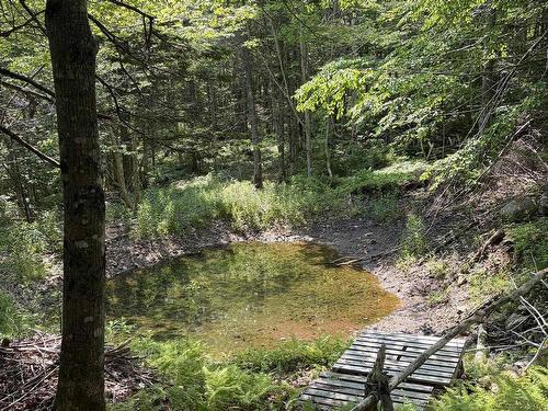 594 Whycocomagh Mountain Rd, Whycocomagh, NS 