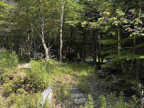 594 Whycocomagh Mountain Rd, Whycocomagh, NS 
