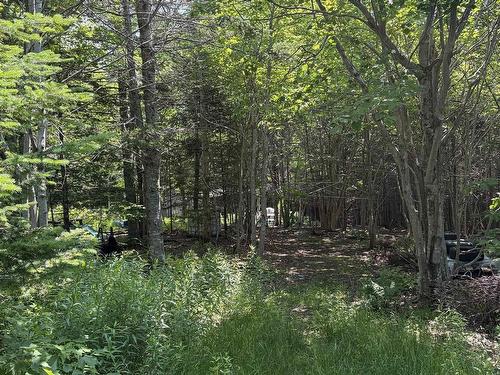 594 Whycocomagh Mountain Rd, Whycocomagh, NS 