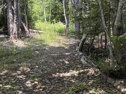 594 Whycocomagh Mountain Rd, Whycocomagh, NS 