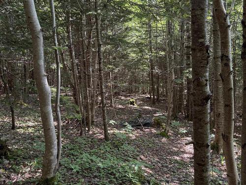 594 Whycocomagh Mountain Rd, Whycocomagh, NS 