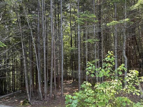 594 Whycocomagh Mountain Rd, Whycocomagh, NS 