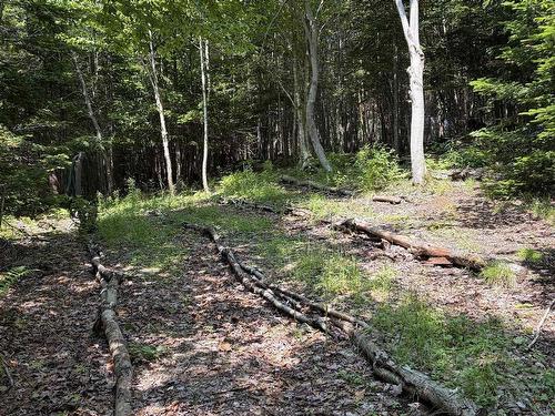594 Whycocomagh Mountain Rd, Whycocomagh, NS 