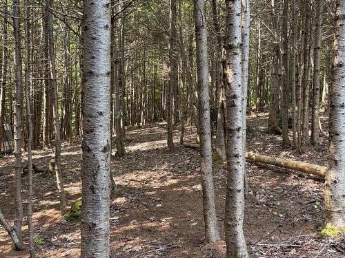 594 Whycocomagh Mountain Rd, Whycocomagh, NS 
