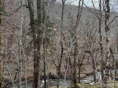 594 Whycocomagh Mountain Rd, Whycocomagh, NS 