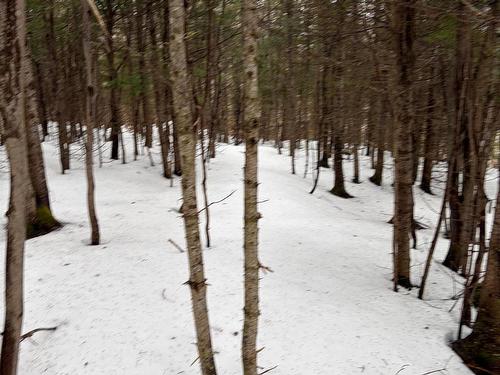 594 Whycocomagh Mountain Rd, Whycocomagh, NS 