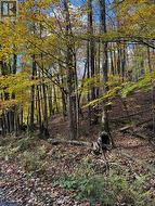 353C BALSAM CREEK ROAD Parry Sound Remote Area (Mcconkey), ON P0H 1S0