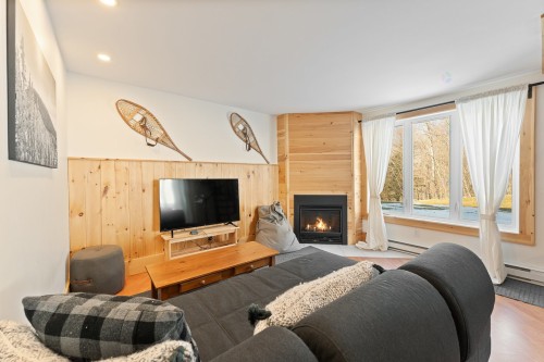 Family Room - 168Z  - 170Z Ch. Demers, Sutton, QC - Indoor Photo Showing Living Room With Fireplace
