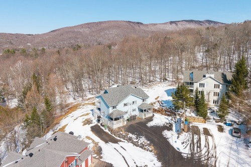 Overall view - 168Z  - 170Z Ch. Demers, Sutton, QC - Outdoor With View