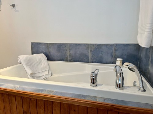 Salle de bains - 261 Ch. Des Cormiers, Piedmont, QC - Indoor Photo Showing Bathroom