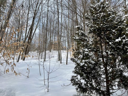 Cour - 261 Ch. Des Cormiers, Piedmont, QC - Outdoor With View