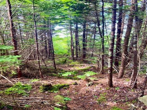 Lot 1 Sandy Point Road, Sandy Point, NS 