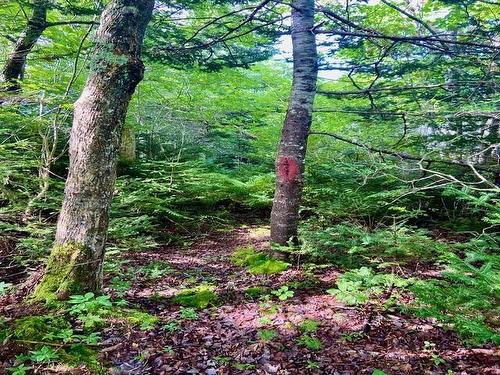 Lot 1 Sandy Point Road, Sandy Point, NS 