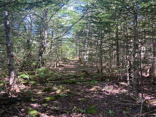 Lot 1 Sandy Point Road, Sandy Point, NS 