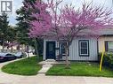246 Forest Avenue, Hamilton, ON  - Outdoor 